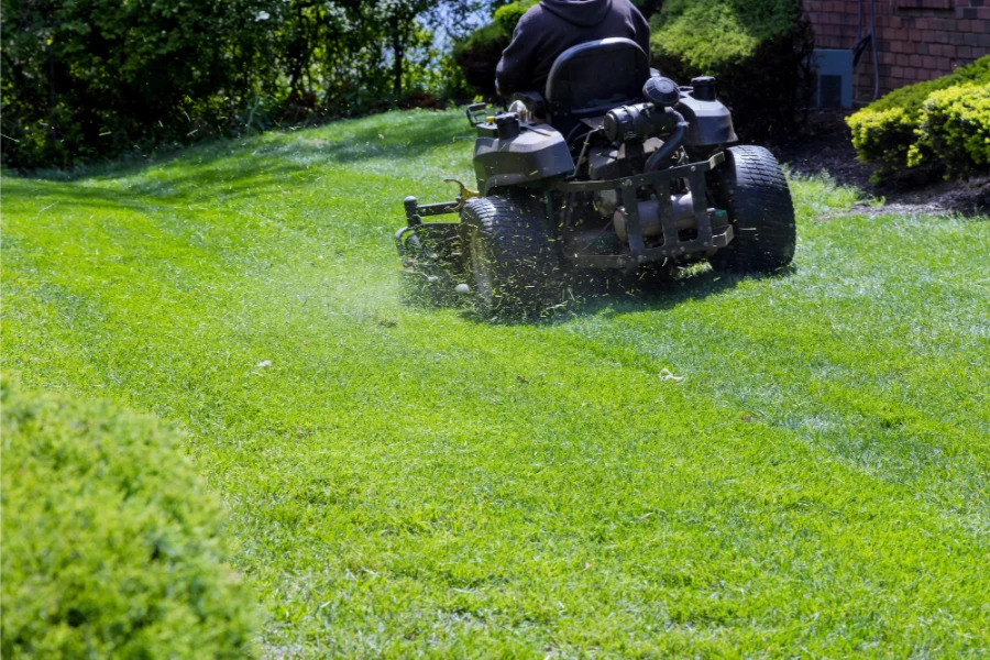 Top 10 Landscaping Companies In Toronto